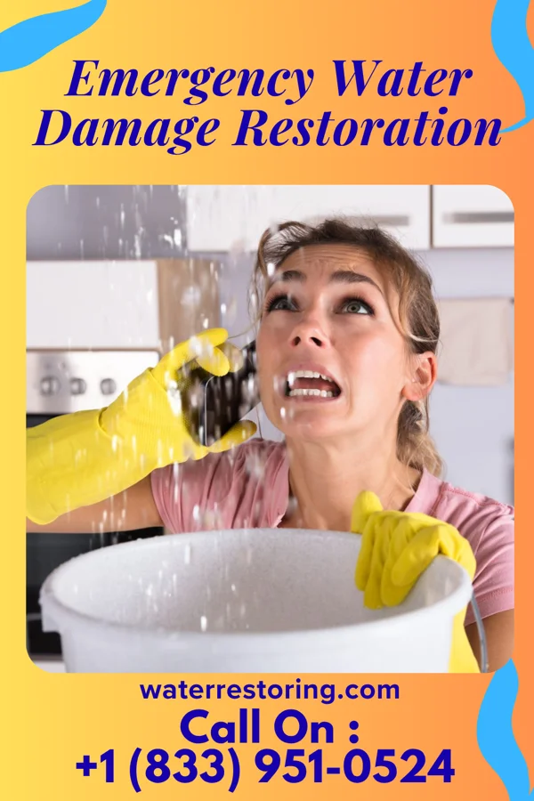 Emergency Water Damage Restoration in Lincoln Park, GA